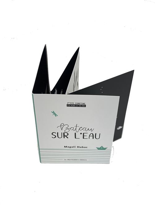 Bateau-sur-l-eau (2)