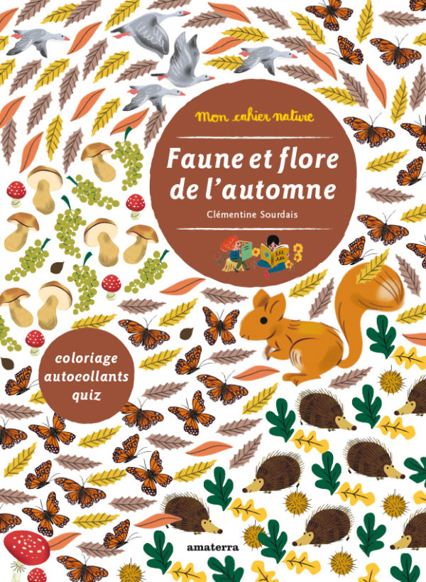 Faune et flore de l’automne