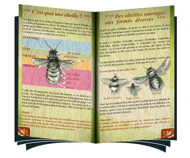 Pollen-livret-ouvert