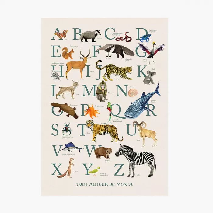 Affiche Abécédaire 50x70cm – Tout autour du monde
