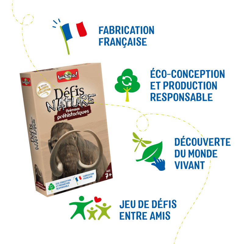 defis-nature-animaux-prehistoriques (4)