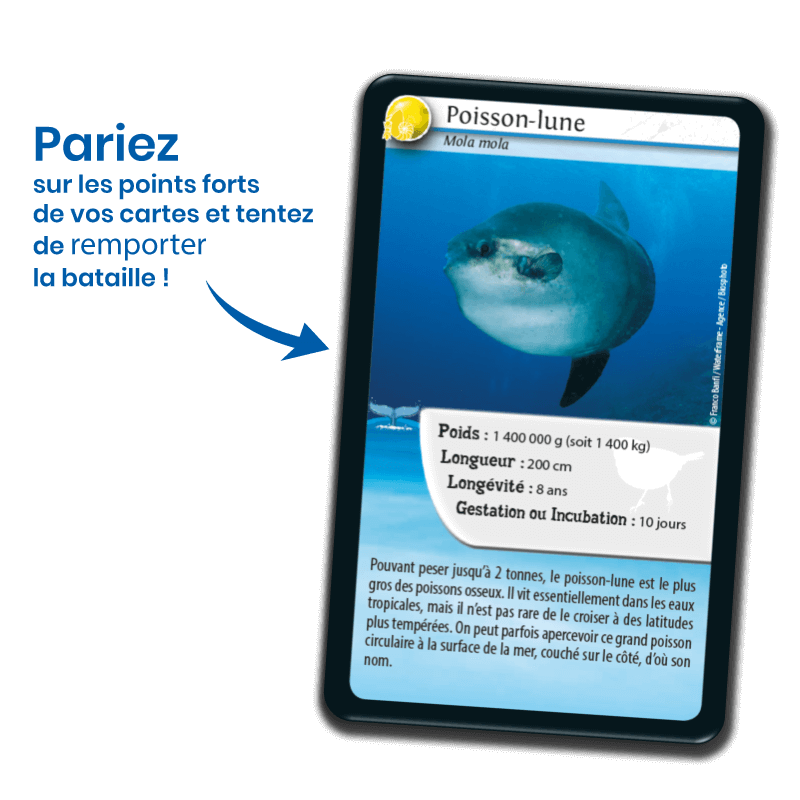 defis-nature-creatures-legendaires (1)