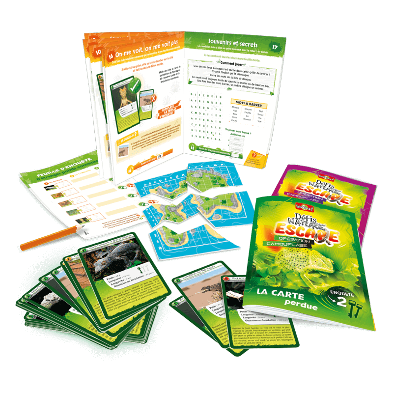 defis-nature-escape-operation-camouflage (3)