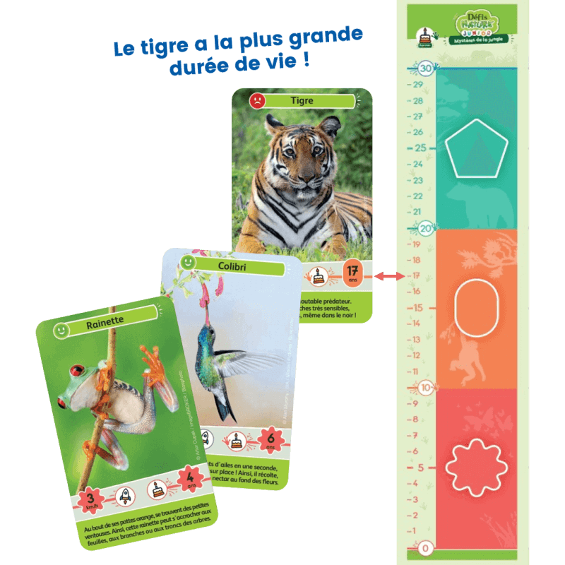defis-nature-junior-mysteres-de-la-jungle-defis (2)