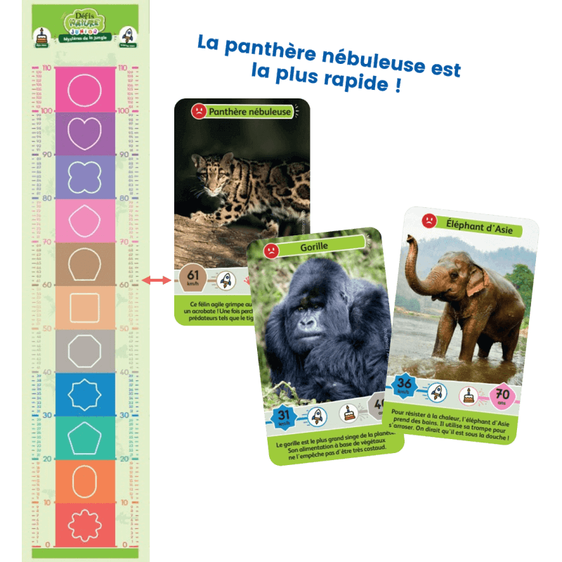 defis-nature-junior-mysteres-de-la-jungle-defis (3)