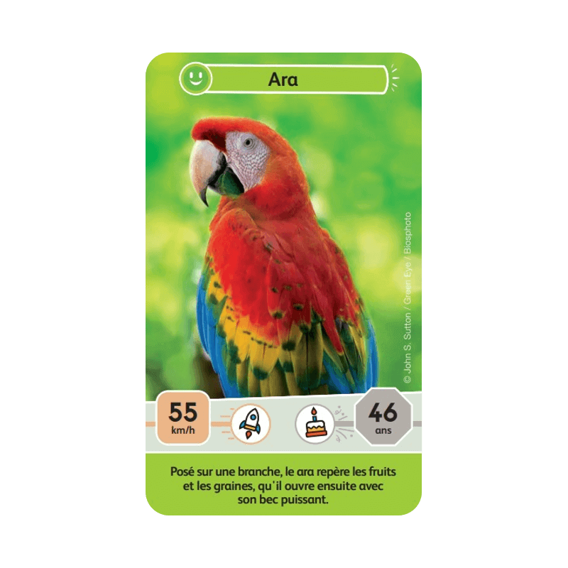 defis-nature-junior-mysteres-de-la-jungle-defis (4)