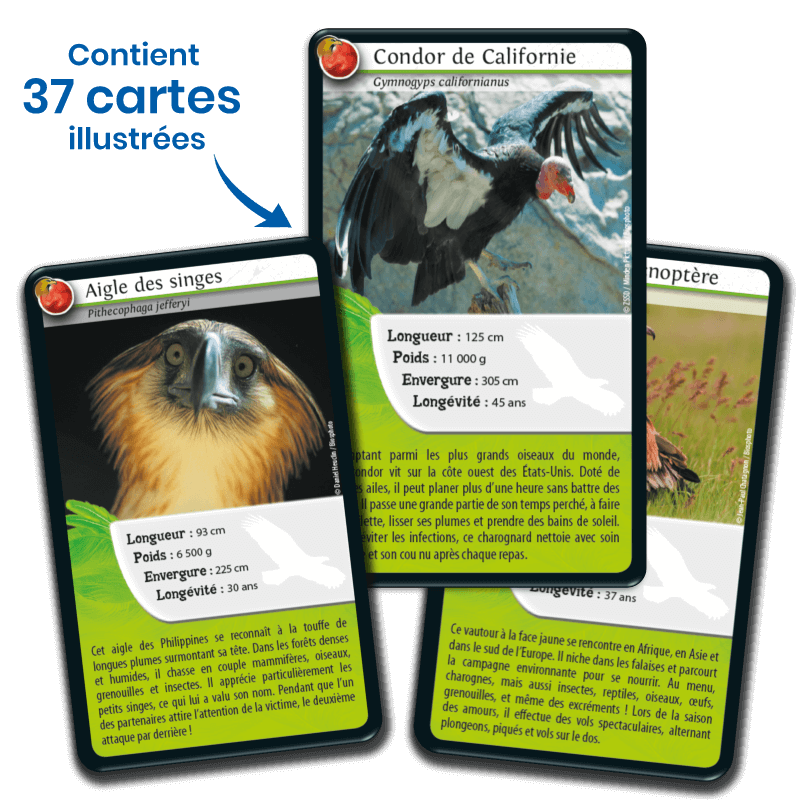 defis-nature-rapaces (3)