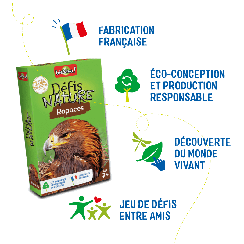 defis-nature-rapaces (4)
