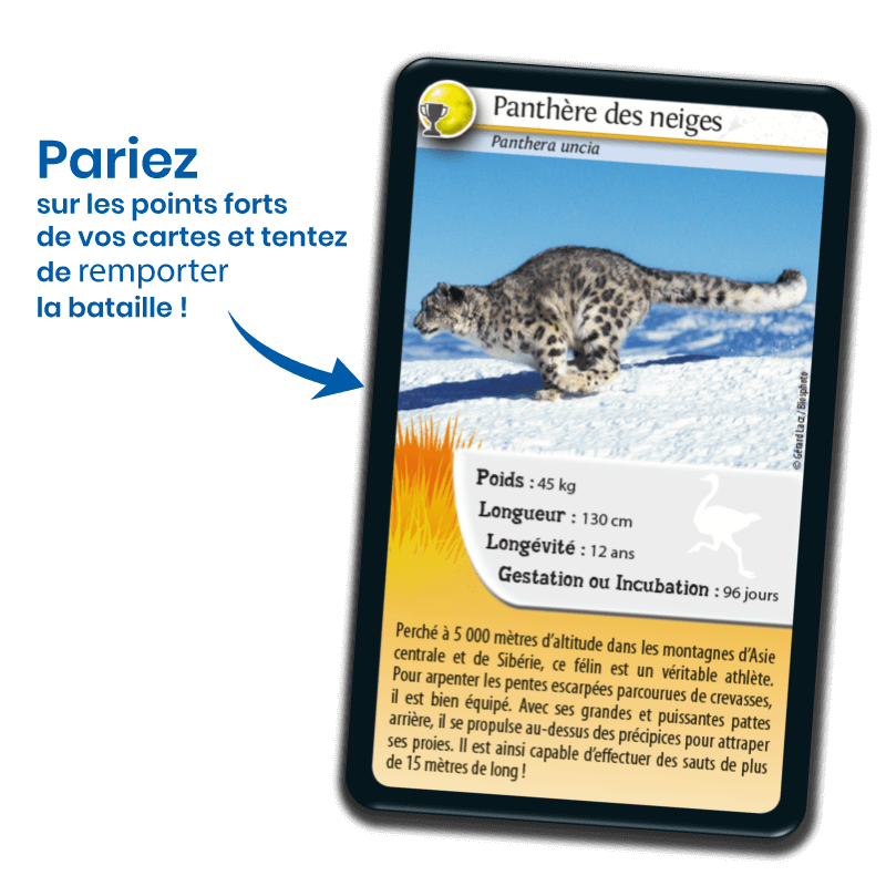 defis-nature-records-des-animaux (2)