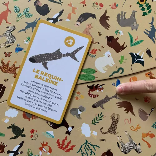 jeu-cherche-et-trouve-animaux-menaces (2)