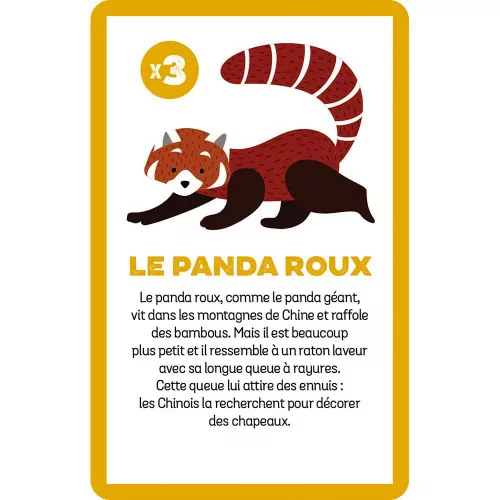 jeu-cherche-et-trouve-animaux-menaces (9)