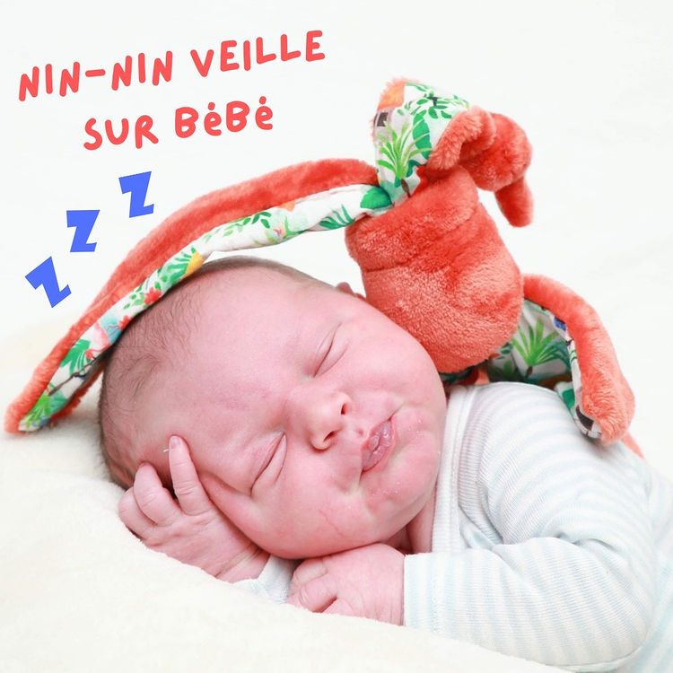 Nin-nin