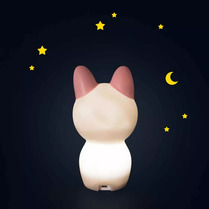 veilleuse chat après la pluie 3
