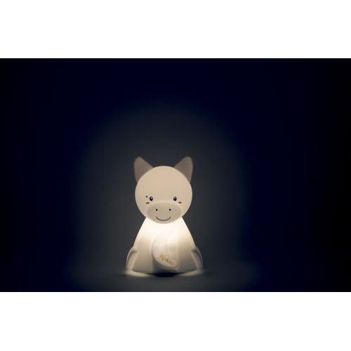 veilleuse-souple-anon (1)
