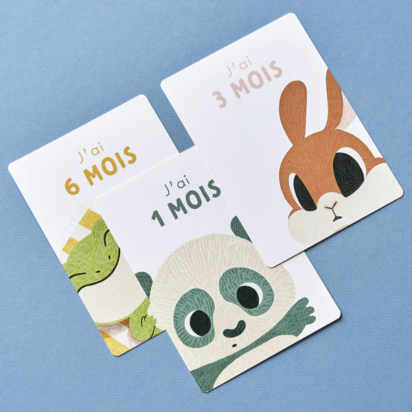 carte_bebe_mois_par_mois
