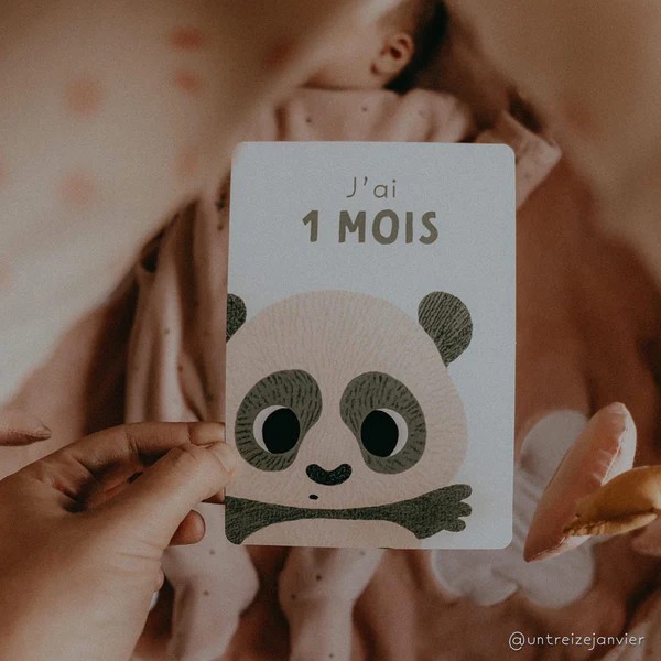 cartes_etapes_jai_1_mois_ca08bedb-d9aa-4663-91ee-170493bed9b2