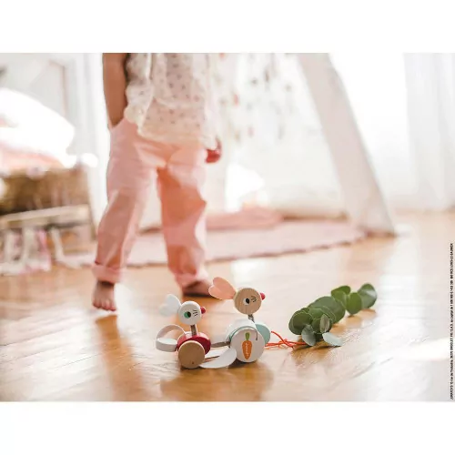 lapins-a-promener-bois (2)