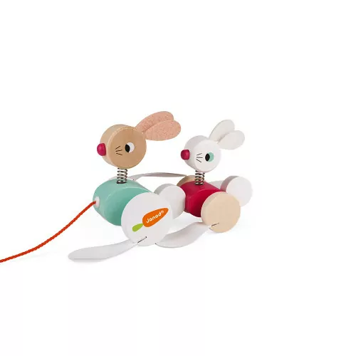 lapins-a-promener-bois (5)