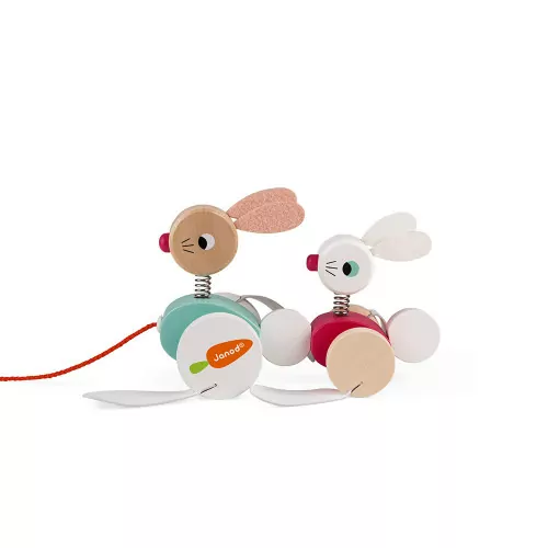 lapins-a-promener-bois (6)