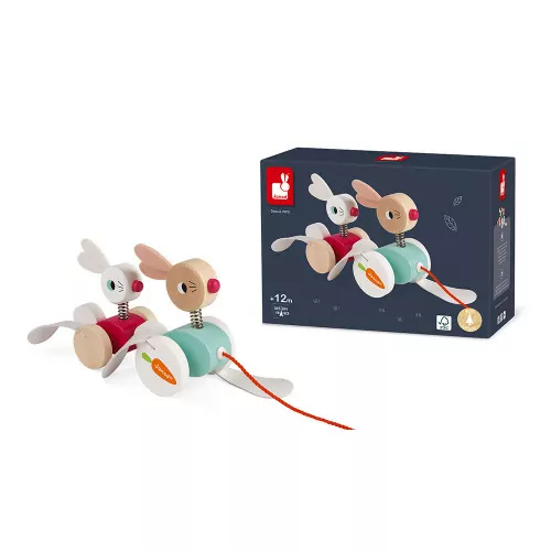 lapins-a-promener-bois (7)