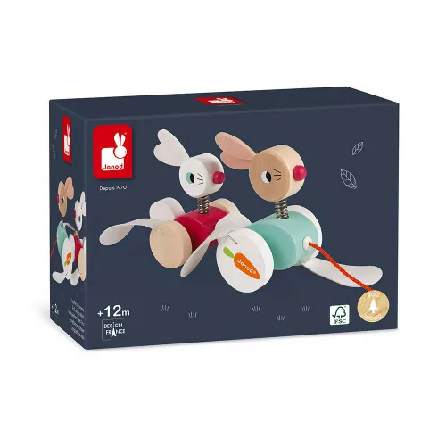 lapins-a-promener-bois (8)