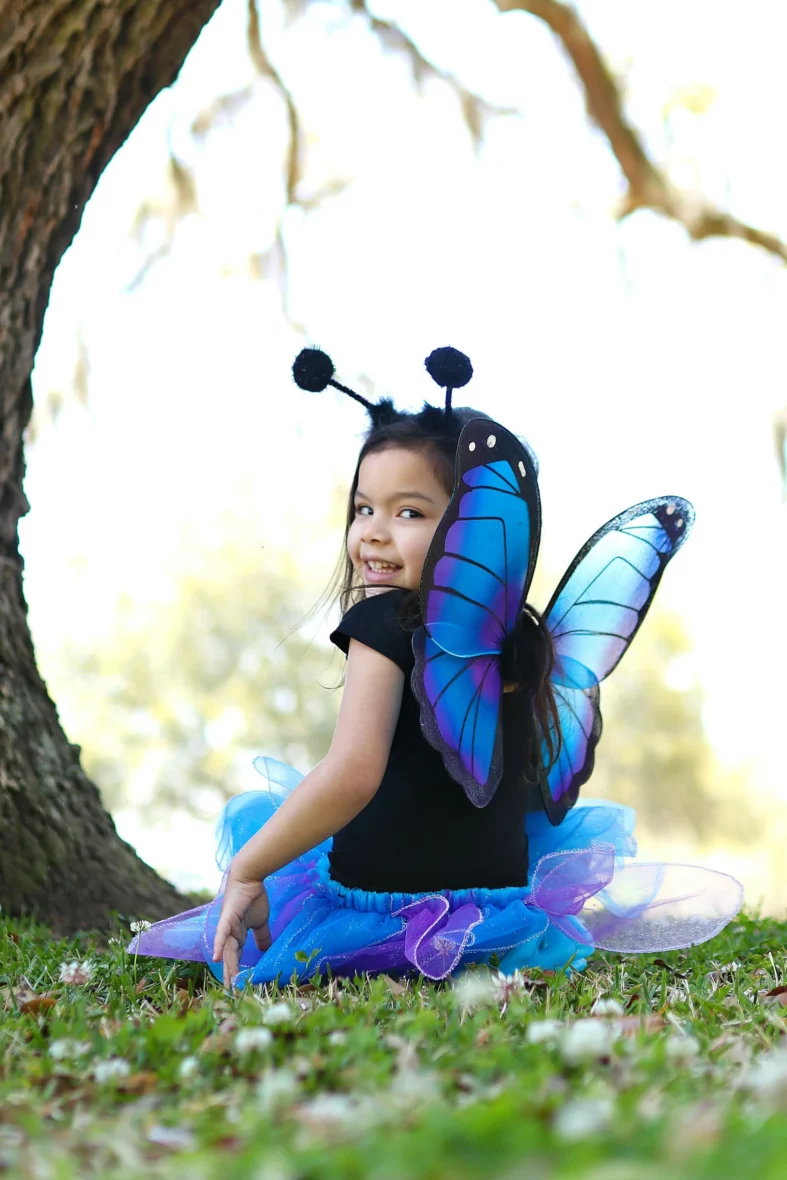 papillon bleu2