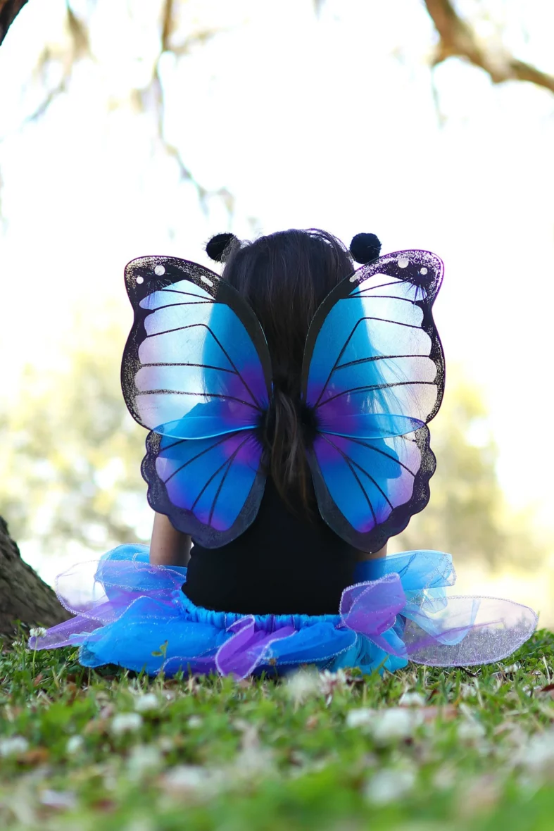 papillon bleu4