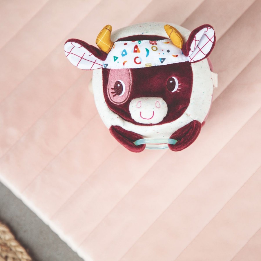 Vache-decouvertes (3)