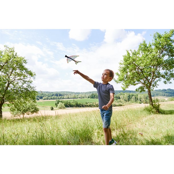 fronde-oiseau-terra-kids-92257720_3 (1)