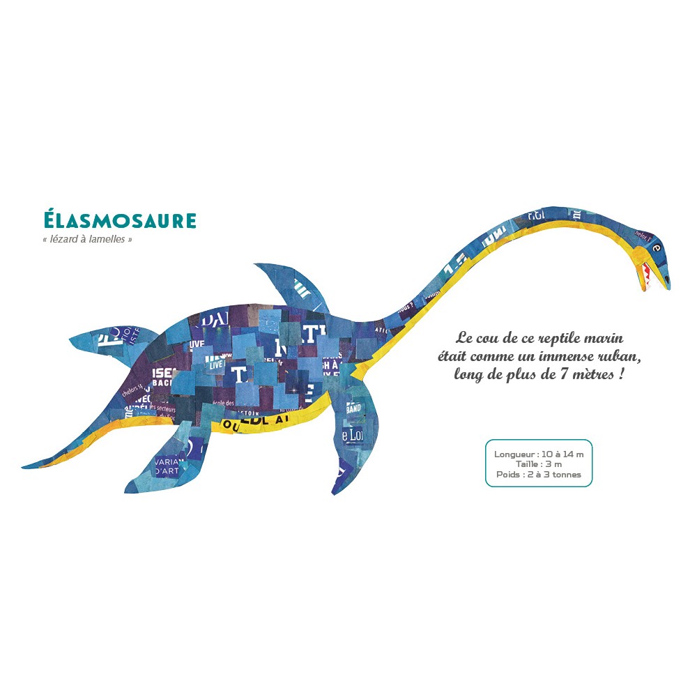 dinosaures-mon-imagier-fute (1)