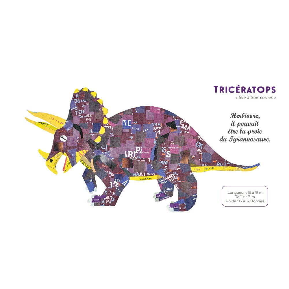 dinosaures-mon-imagier-fute (2)