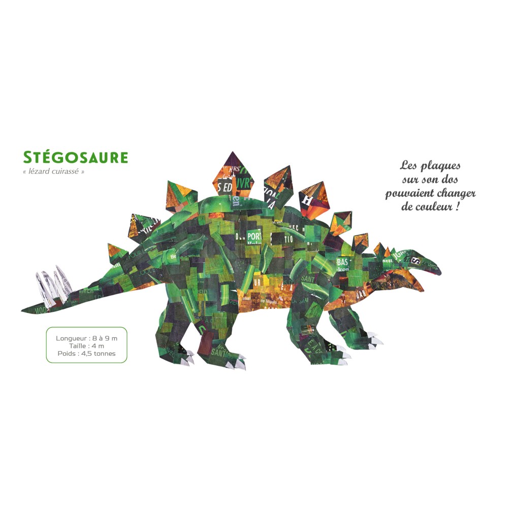 dinosaures-mon-imagier-fute (3)