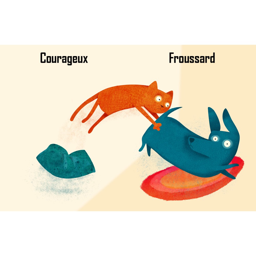 une-histoire-de-contraires (2)