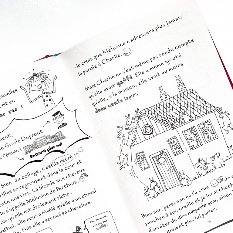 clara-catastrophe-des-lapins-partout- (5)
