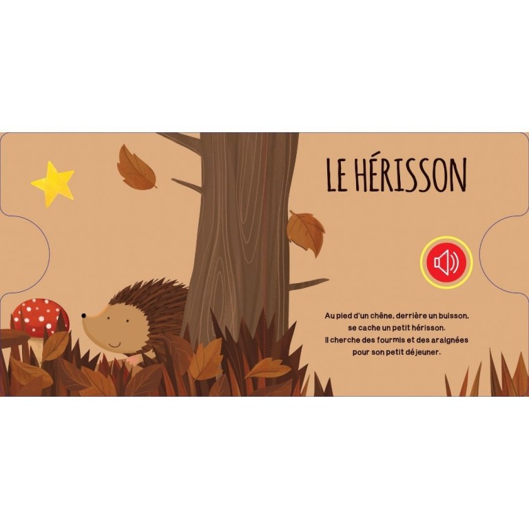 la-foret-livres-sonores (2)