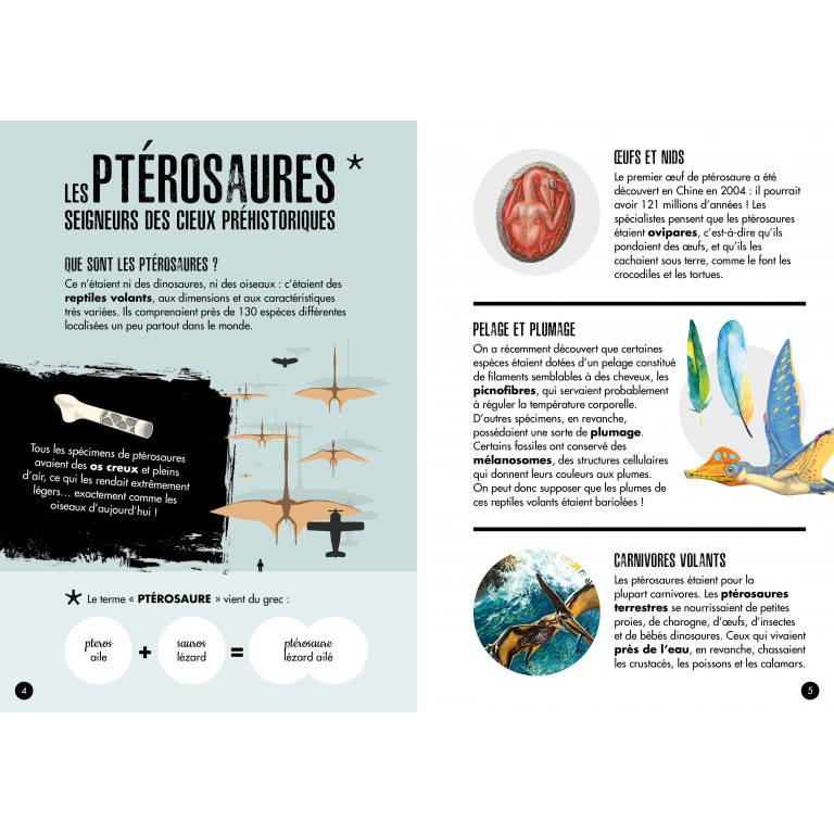 pteranodon-maquette-3d (4)
