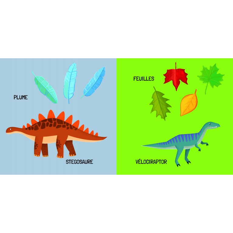 q-box-les-dinosaures (3)