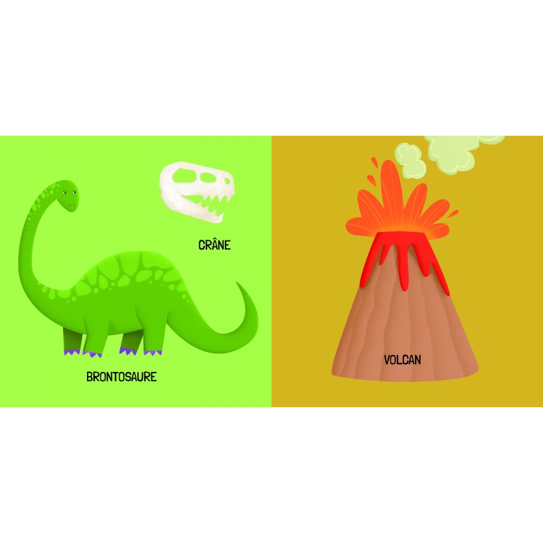 q-box-les-dinosaures (4)