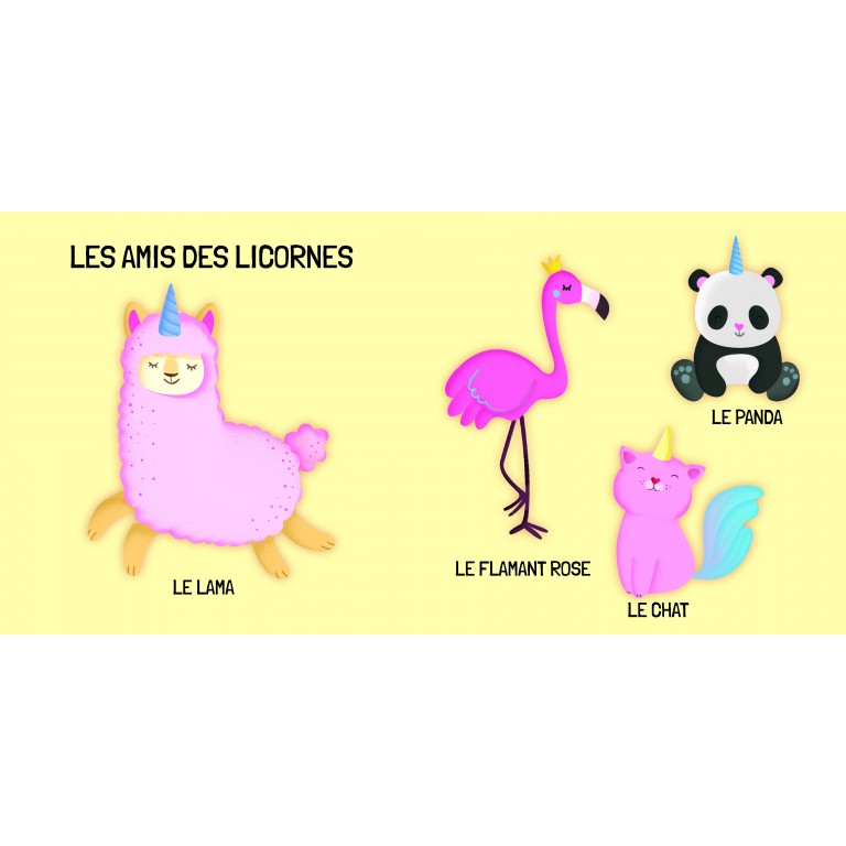 q-box-les-licornes (3)