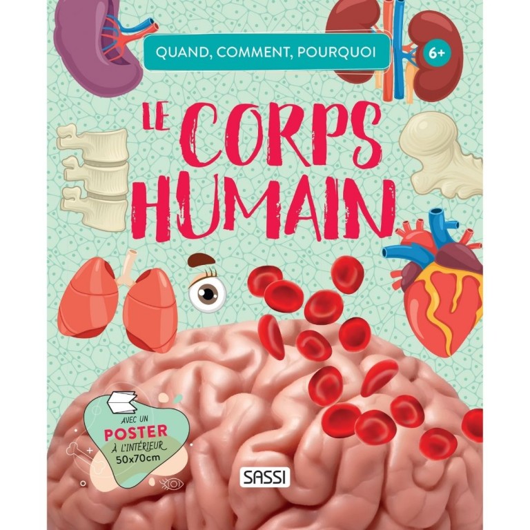 Le corps humain – Quand, Comment, Pourquoi