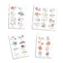 Pack 36 magnets Activités