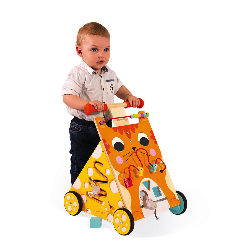 chariot-multi-activites-chat-bois (1)