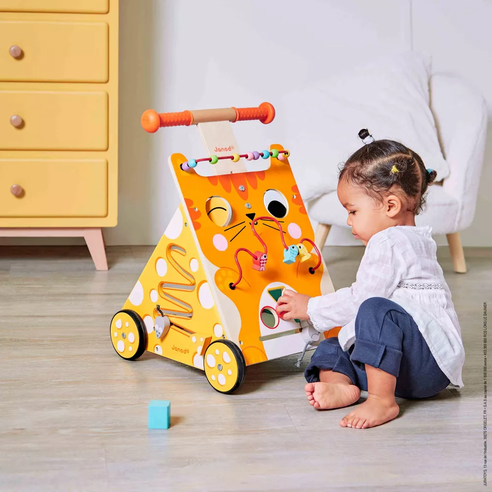 chariot-multi-activites-chat-bois