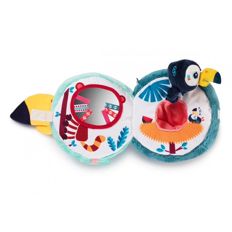 Toucan-decouvertes (1)
