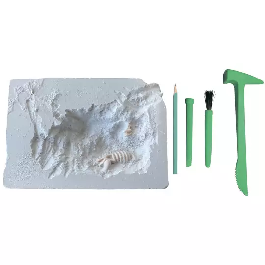mes-2-dinosaures-a-deterrer (2)
