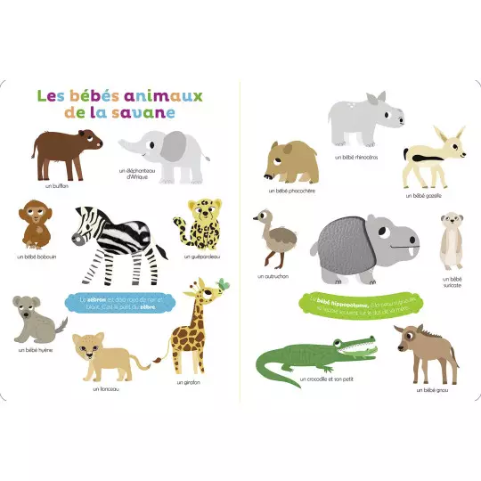 mes-premiers-bebes-animaux-a-toucher (1)