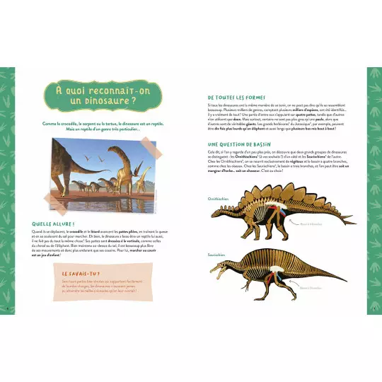 mon-coffret-d-artiste-mes-dinosaures-a-construire (2)