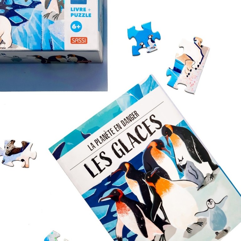 la-planete-en-danger-les-glaces (1)