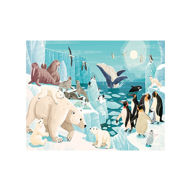 la-planete-en-danger-les-glaces (3)