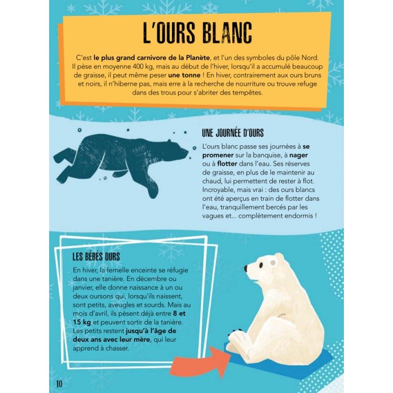 la-planete-en-danger-les-glaces (4)